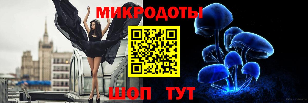 Канаш  Галлюциногенные грибы Cubensis  Вход с VPN 