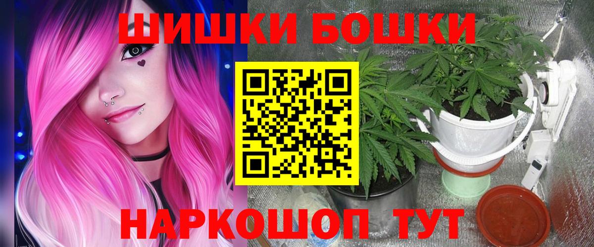 Канабис сатива Канаш